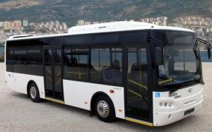 Guleryuz Cobra GM-180 LE '2010